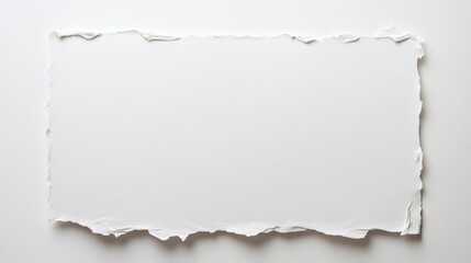 Blank torn paper edge on white background with textured surface