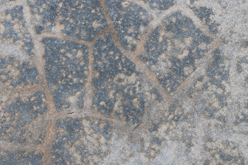 Texture of grey concrete wall for background.	