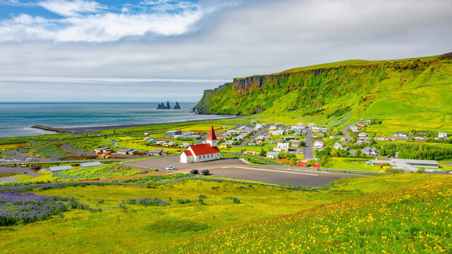 Panoramic view of basalt stacks Reynisdrangar and yellow meadow flowers at Vik town with Myrdal church, Iceland, at summer sunny day and blue sky.