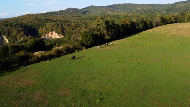 Drone footage of people riding horses on wood trees and fields in Ramnicu Valcea, Feteni, Romania