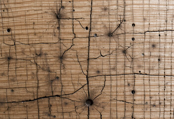a fairly rugged brown wood texture
