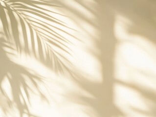 Beige wall with palm leaf shadow patterns