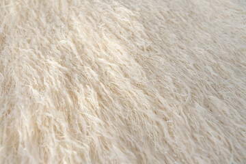 Close-up of feathered textile with shimmering metallic threads in beige tones with sunlight.
