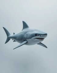 Obraz premium Baby Shark Swimming with a Sleek and Smooth Body 