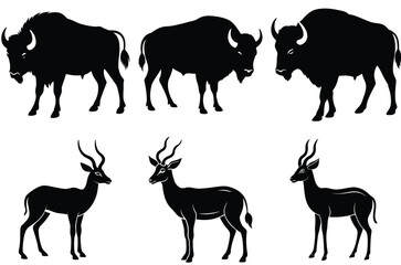  set of   animal illustrations. Black   designs on a white background. Modern abstract vector