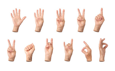 Set of elderly female hands displaying various gestures, including counting from one to five,...