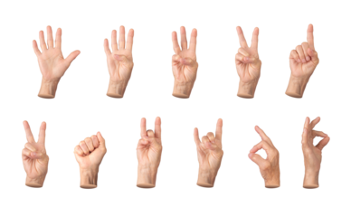 Set of elderly female hands displaying various gestures, including counting from one to five, thumbs up, peace sign, OK symbol, and clenched fist. Wrinkled fingers emphasizing age and expression.