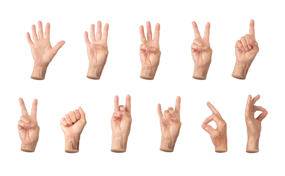 Set of elderly female hands displaying various gestures, including counting from one to five, thumbs up, peace sign, OK symbol, and clenched fist. Wrinkled fingers emphasizing age and expression.
