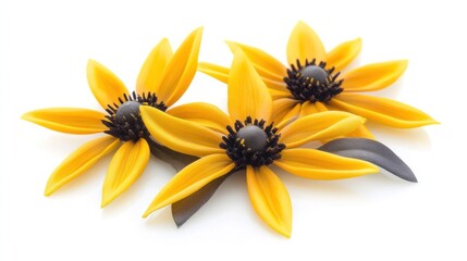 Fototapeta premium Yellow flowers, studio shot, white background, floral arrangement, crafting