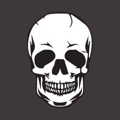 

skull icon vector . skull graphic vector t-shirt design. skull logo. graphic art