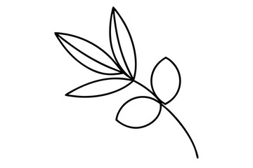 Minimal Outline of Olive Branch for Mediterranean Design - SVG