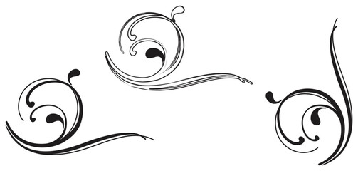  Elegant Swirling Floral Vector Designs. Isolated On Transparent Background.