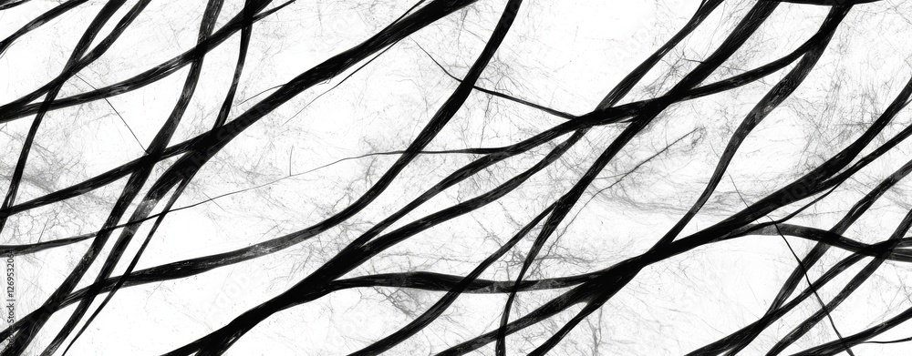 Poster abstract black lines creating intricate patterns on a white background for modern art design project
