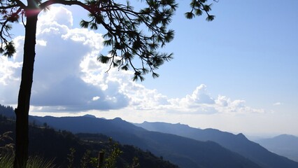 Fototapeta premium Serene Mountain Vista Through Silhouetted Pine Branches
