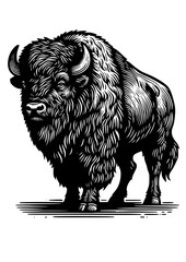 Woodcut-style illustration of an American bison © ekysanti23