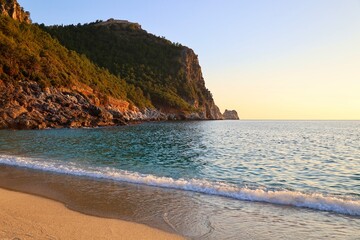 Park green trees. High quality photo