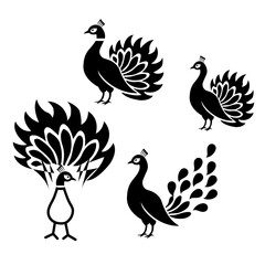 peacock icon with peacock logo