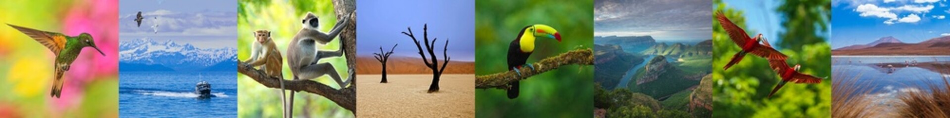 logo for my adobe portfolio