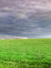 Naklejka premium Field of grass with a storm in the distance