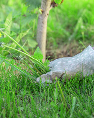 Fototapeta premium Person is pulling weeds from a grassy area
