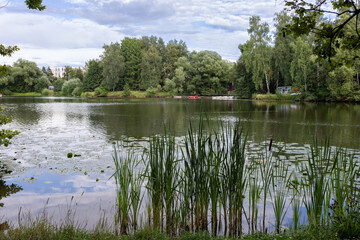 lake in the park