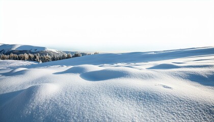 Obraz premium white snowy field isolated