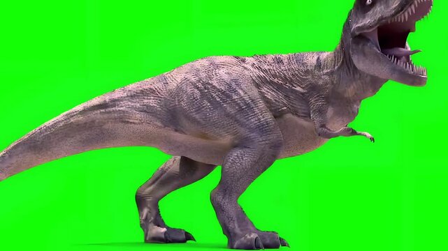 dinosaur green screen, raptor green screen, trex green screen, tyrannosaurus green screen video , dinosaur crying moving neck, raptor crying moving neck, dinosaur barking