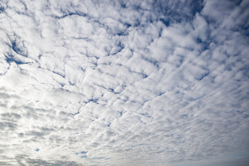 Sky Canvas: Painted with Clouds