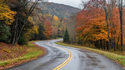 Obraz premium Autumn Road Winding Through Colorful Foliage