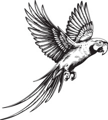 Vintage parrot illustration hand drawn engraving. Sketch tropical parrots vector illustration.