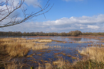 Halb zugefrorener See im Naturschutzgebiet