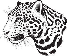 Leopard head on a white background. 