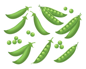 Set of green peas. Collection of green peas in pods on white background. Legumes, food illustration.
