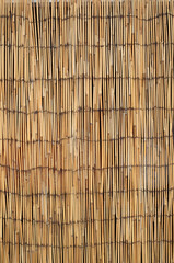 New reed decorative partition closeup