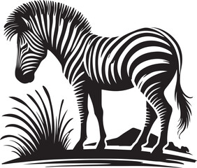 zebra silhouette on white background