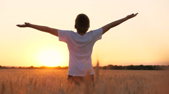 Joyful male teen kid enjoy freedom with open hands at sunset sunrise autumn wheat field sky forest horizon. Happy boy teenager child silhouette relaxing alone at natural rye meadow cinematic dawn dusk