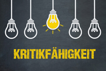 Kritikfähigkeit	
