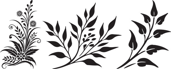 a black and white floral design