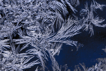 ice crystals on the window