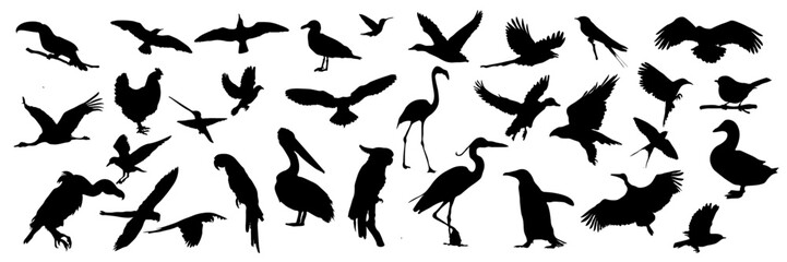 Obraz premium Bird silhouette vector set, diverse bird shape black silhouettes on white background, illustration of flying, perching birds, suitable for nature, wildlife designs