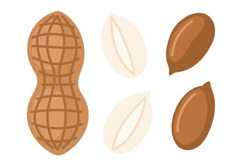 Peanuts. Peeled and unpeeled nuts. Nuts set. Peanut butter ingredient. Vegan food ingredients. Vector illustration isolated on white background