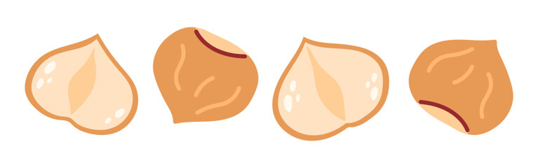 Hazelnut. Whole and half brown hazelnut. Vegan food ingredients. Vector illustration isolated on white background