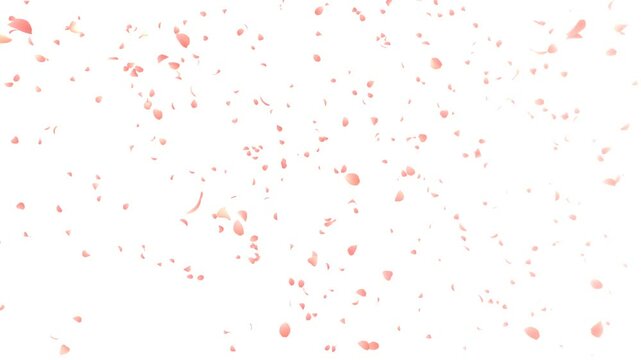 春の終わりに散りゆく桜の花びらのアニメーション