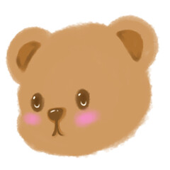 teddy bear on white background