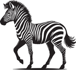 animal zebra black white stripes design