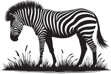 Obraz premium animal zebra black white stripes design