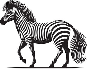 animal zebra black white stripes design