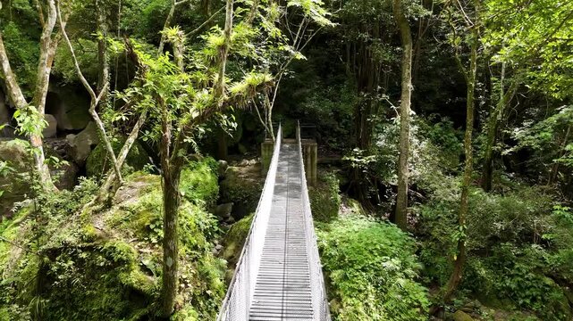 puente colgante sobre el rio en altos del mar&iacute;a en panam&aacute;