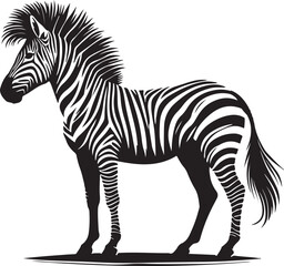 Obraz premium zebra and horse silhouette on white background