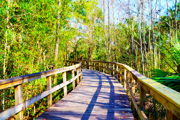 Obraz premium Wesley Chaple, Florida, USA, 12 10 2024: The winter foliage landscape of a beautiful community and trail at Wesley Chapel, north of Tampa in Florida
